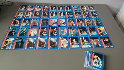 Wwf classic games - 91, x