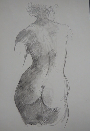 Pencil drawing female - , nude