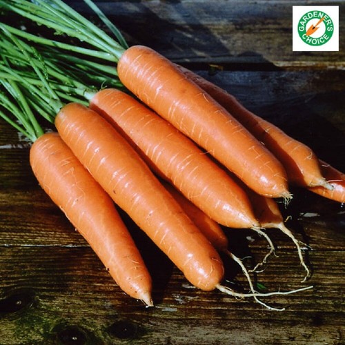 Carrot eskimo kings seeds - -,