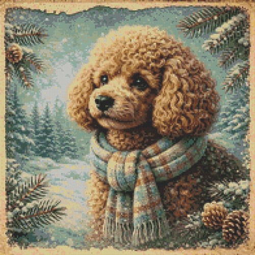 Toy poodle puppy dog - puppy, comfort