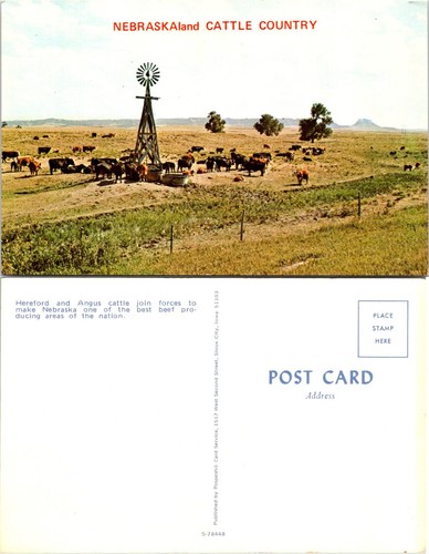 Nabraskaland cattle country - nabraskaland,