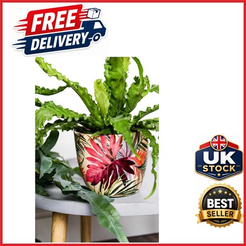 Round indoor plant pot monza - round,