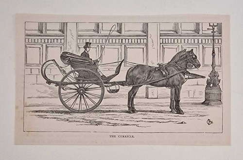 Sidney the curricle 1878 - the, (1878