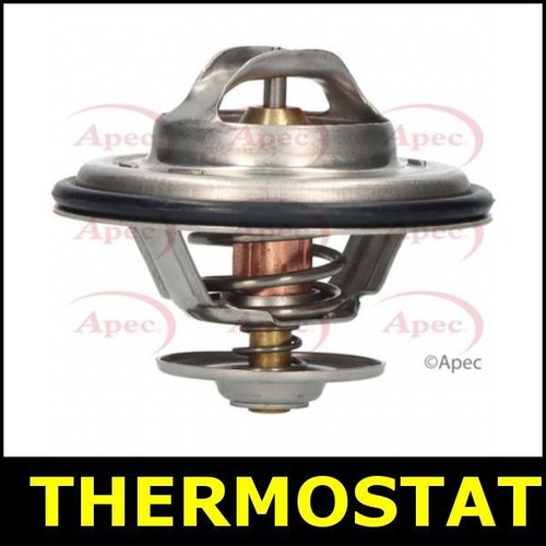 Thermostat for jaguar - jaguar, xk