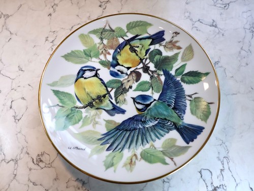 Blue tit vintage - tit,