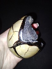 447g Septarian Dragon Egg