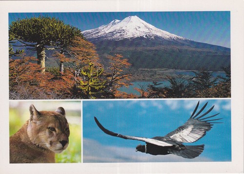 Old postcard region de - region, la