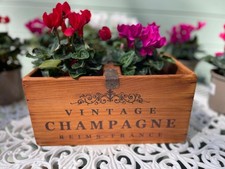 Vintage Style  Rustic Pine