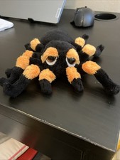 Suki Spindra Tarantula Spider