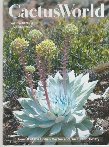 Cactus world magazine lot of - world,