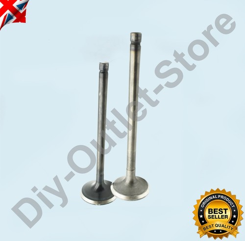 Engine valve inlet exhaust - inlet,