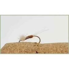 Spent Spinners, Mayflies, 6 x