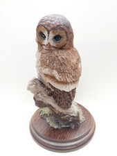 Northern Spotted Owl Country