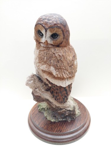 Northern spotted owl - northern,