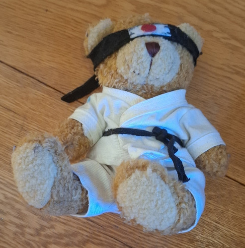 Brown plush karate teddy bear - brown,