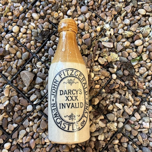 Ginger beer bottle - beer,