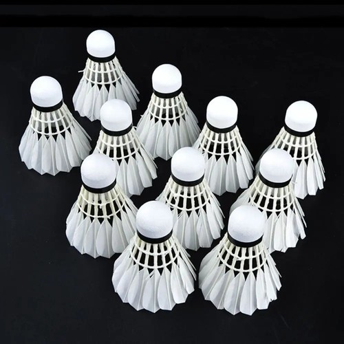 12pcs training goose - goose, feather