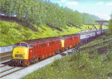 Class 42 Warship Diesel