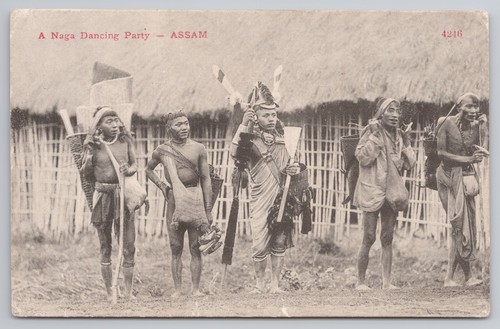 India assam naga - naga, party