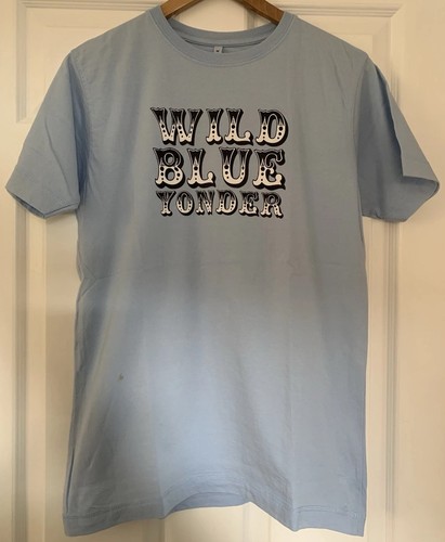 Paul weller wild blue yonder - paul, t