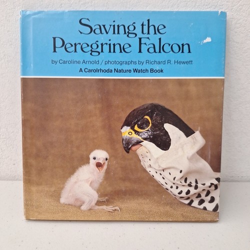 Saving the peregrine falcon - the,