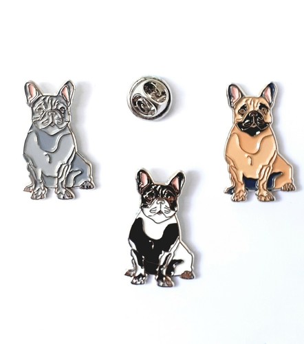 French bulldog dog - french, pet