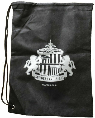 Sunderland football club - sunderland,