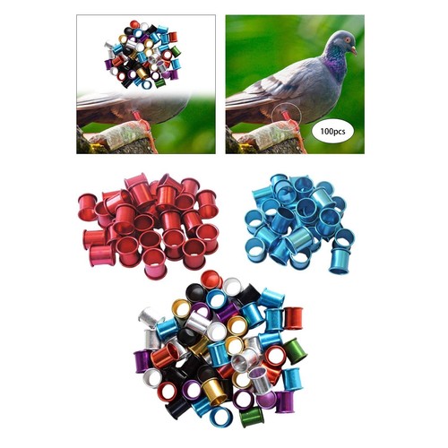 100x pigeon foot rings 8mm - foot,