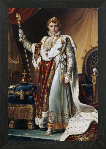Napoleon coronation robes - coronation,
