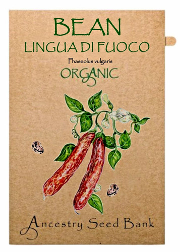 Organic bean lingua di - organic,