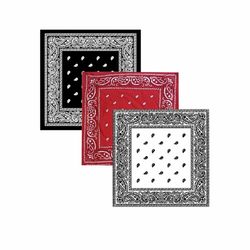 Bandana paisley mouth - bandana,