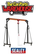 Sealey SG1000KIT Portable