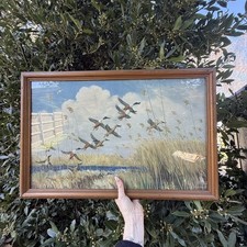 Taking To Wing by Peter Scott