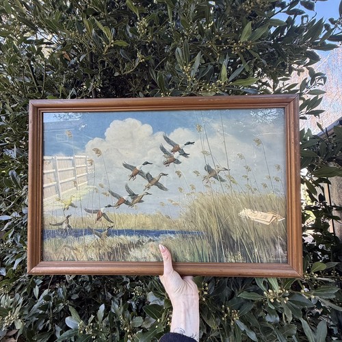 Taking wing peter - by,