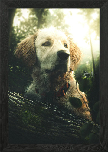 The lost dog framed wall - dog,