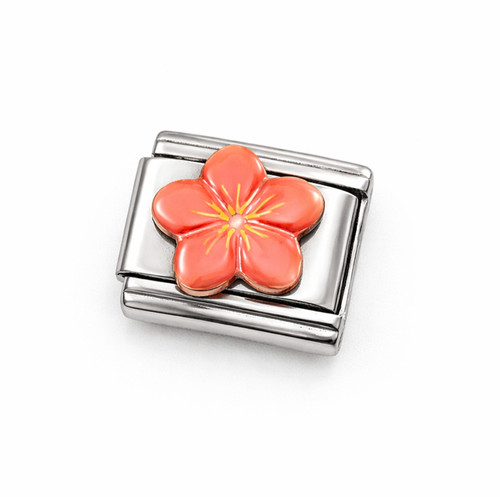 Pink hibiscus flower - hibiscus, italian