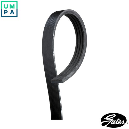 Vribbed belt 4pk1013 for - belt,