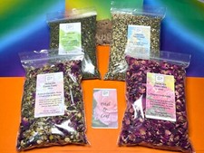 Giant African Land snail food