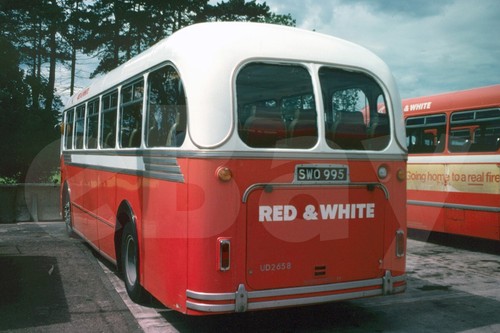 Bus photo red white nbc - bus,