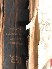 1981 Pontiac Firebird Trans Am