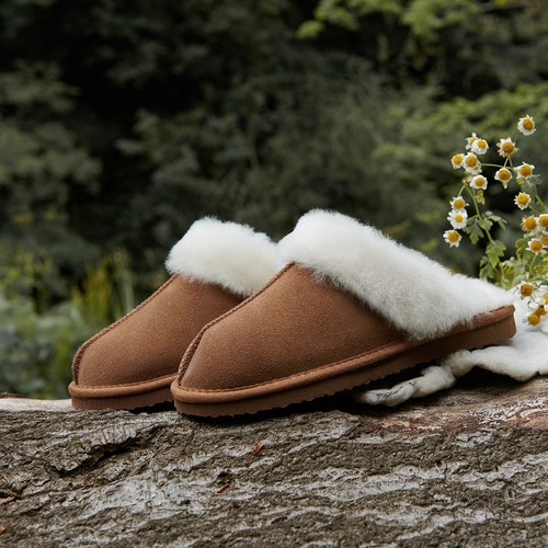 Snow paw luxury - snow, ladies