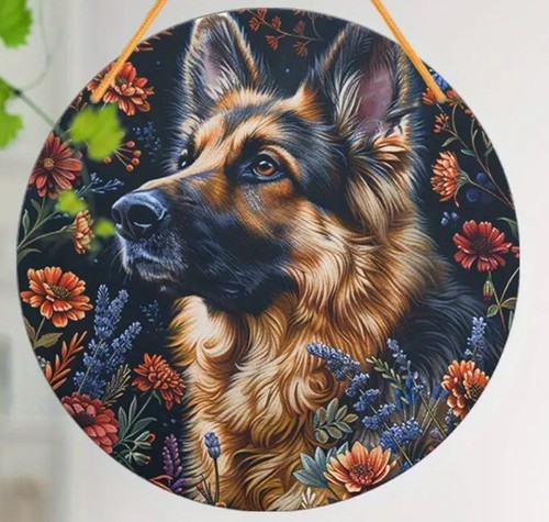 Alsatian large german shepherd - alsatian,