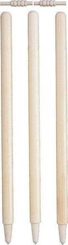 Cricket stumps heavy - stumps,
