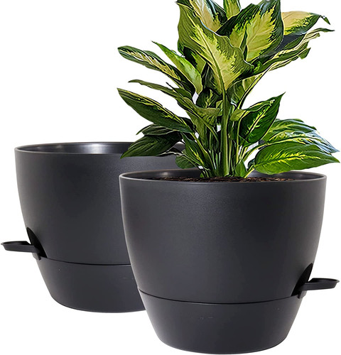 Inch self watering - self,