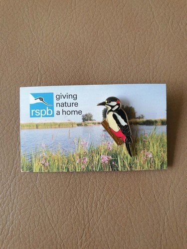 Rspb great spotted - great,