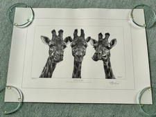Kevin Hayler Signed Limited