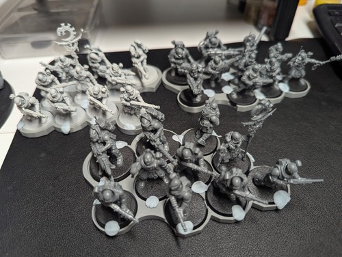 Neophyte hybrids - 30,