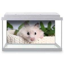 Fish Tank Background 90x45cm -