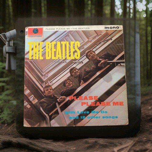 The beatles please - the,