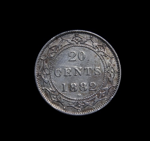 Newfoundland cents 1882h - newfoundland, 20